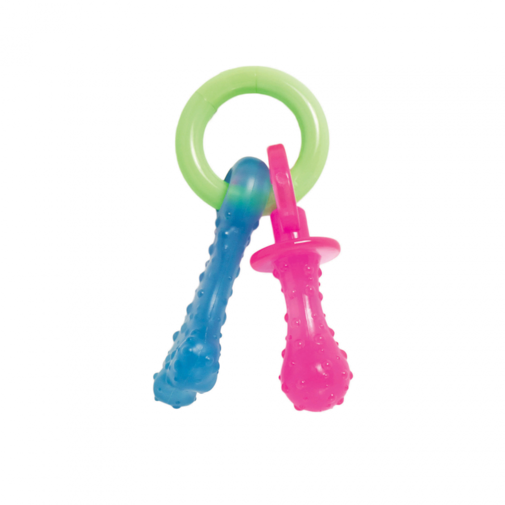 Nylabone puppy shop teething pacifier