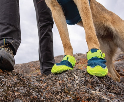 RC Pets Apex Boots (Arctic Blue/Tennis)