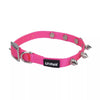 Coastal Li'l Pals Spiked Nylon Dog Collar