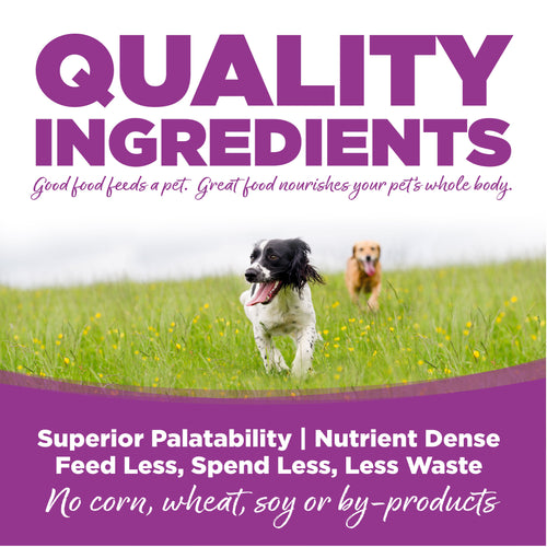 NutriSource® Large Breed Puppy Recipe Dry Dog Food