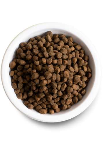 Open Farm Salmon & Sweet Potato Grain-Free Puppy Food