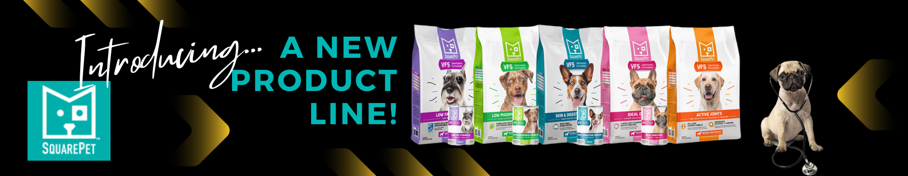 Introducing a new product line Squarepet products