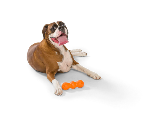 West Paw Zogoflex Rumpus Dog Toy