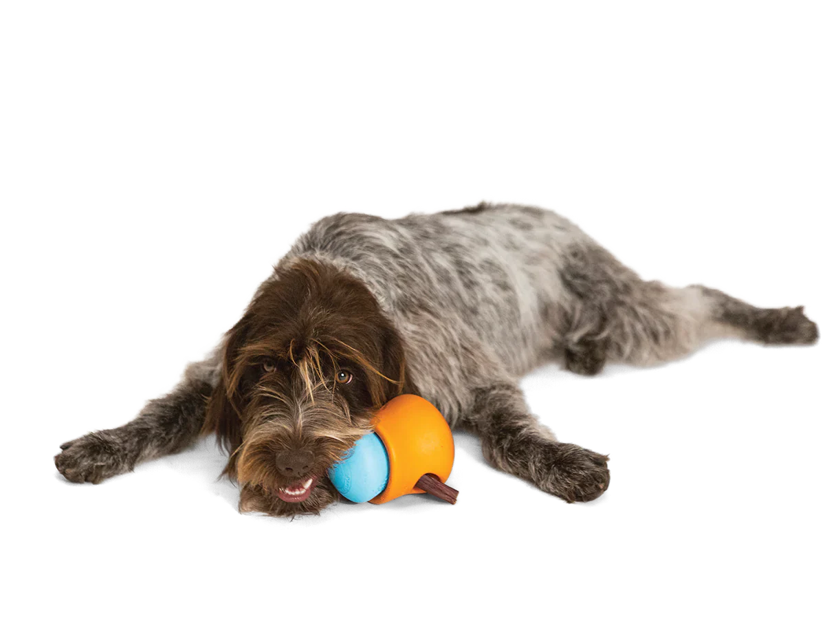 West Paw Zogoflex Toppl Treat Dog Toy - Goodyear, AZ - Petz Place