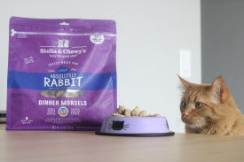 Stella and chewy 2024 rabbit cat food