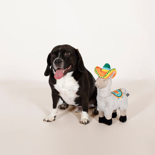 PetShop Nacho Fiesta Llama Dog Toy