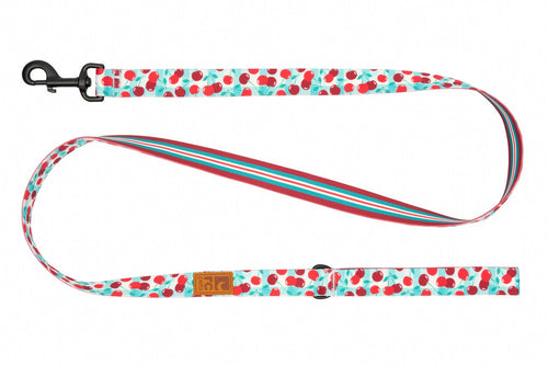 RC Pet Eco Leash for Dogs