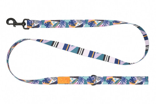 RC Pet Eco Leash for Dogs