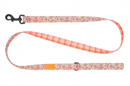 RC Pet Eco Leash for Dogs