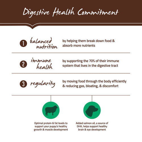 Holistic Select Natural Large & Giant Breed Puppy Health Lamb Meal and Oatmeal Dry Dog Food