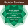 Holistic Select Natural Large & Giant Breed Puppy Health Lamb Meal and Oatmeal Dry Dog Food