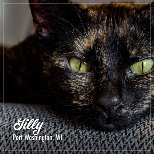 Fromm Purrsnickitty Duck Liver Pâté Cat Food