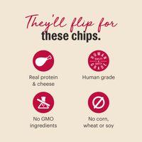 The Honest Kitchen Gourmet Chicken Liver & Cheddar Chips Dog Treats