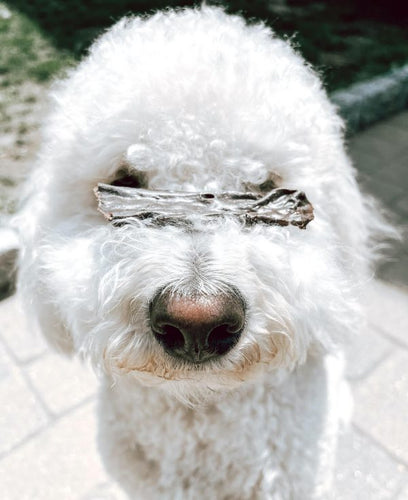 Beg & Barker Beef Liver Strips Dog Treats