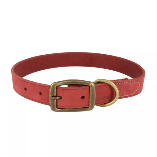 Coastal Pet Products Circle T Rustic Leather Town Dog Collar
