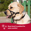 Coastal Pet Products Walk 'n Train! Dog Head Halter