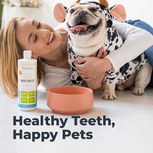 Oxyfresh Premium Pet Dental Water Additive | Easiest Way to Eliminate Dog and Cat Bad Breath (16 oz)