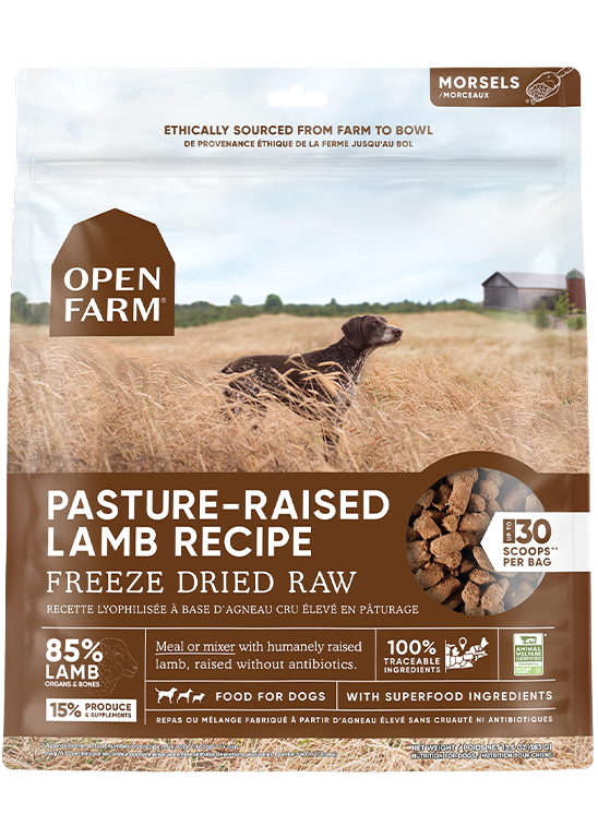 Open Farm Pasture-raised Lamb Freeze Dried Raw Dog Food